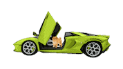 Pomeranian Happy Dog Sticker