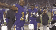 Regular Season Football GIF by NFL