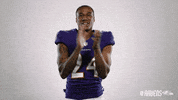 Celebrate Charm City GIF by Baltimore Ravens