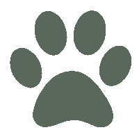 pawsandmemories pawsandmemories knipperend hondenpoot knipperendehondenpoot Sticker