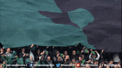 serie a soccer GIF by U.S. Sassuolo Calcio