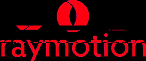 Glitch Logo GIF by raymotion
