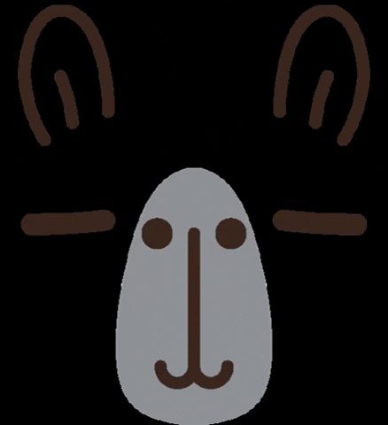 Noristudio face capybara カピバラ noristudio GIF