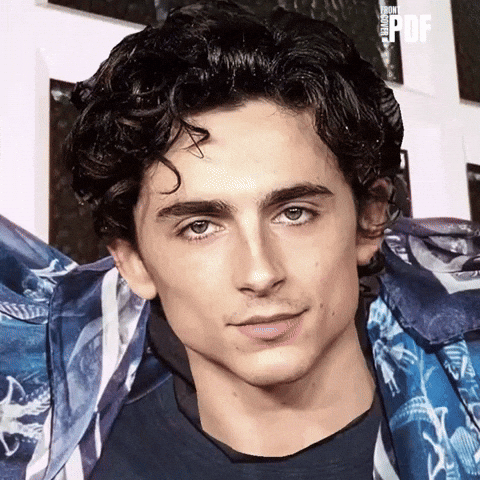 Timothee Chalamet Rebel GIF by Respective
