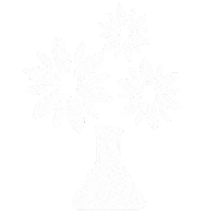 kindnessnorth flower science kindness white flower Sticker