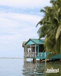 Belize Tobacco Caye GIF by Island Expeditions