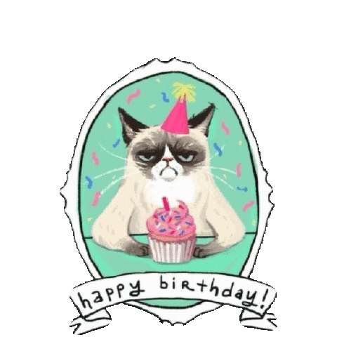 Happy Birthday Sticker by imoji