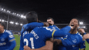 Alex Iwobi Richarlison GIF by Everton Football Club