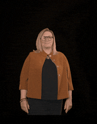 fdpfraktionlsa fdplsa fdpfraktionlsa tarricone ktarricone GIF