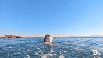 Thando's Third Breach