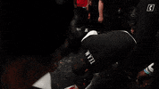 University Of Cincinnati Uc GIF by Cincinnati Bearcats