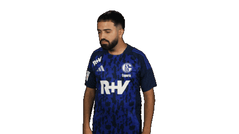 Schalke 04 What Sticker by Bundesliga