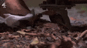 Police Wtf GIF by Hollyoaks