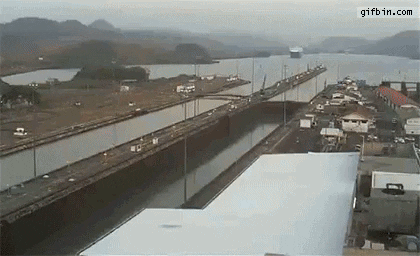 gokcecici giphyupload GIF