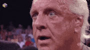 Ric Flair Wrestling GIF by G1ft3d