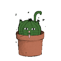 Cat Kitty Sticker