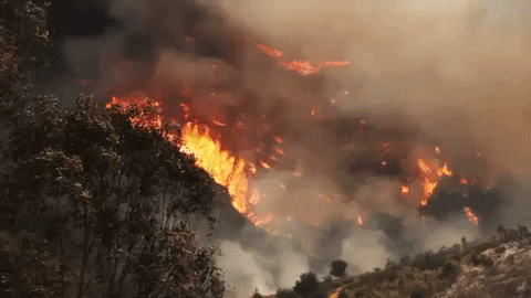 Climate Change GIF