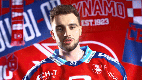 Frantisek GIF by HC Dynamo Pardubice
