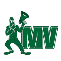 manchaverdetorcida futebol mv verde palmeiras Sticker