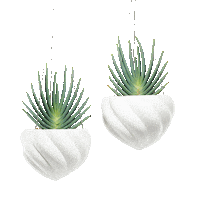 Plant Pot Plants Sticker by angusandceleste