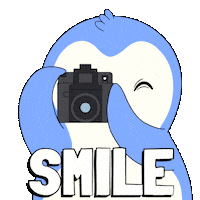 Penguin Smile Sticker by Pudgy Penguins
