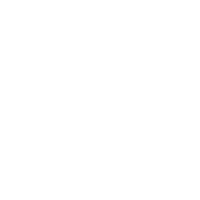 Film Festival Tiff Sticker by Thessaloniki International Film Festival