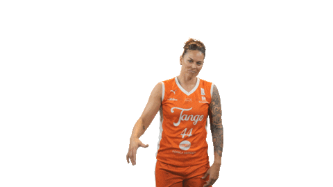 Basketball Arc Sticker by Tango Bourges Basket