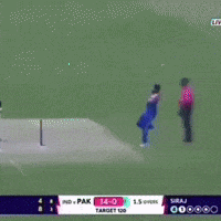 3-0 Cricket GIF