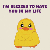 Bless Together Forever GIF by MeetDuckey