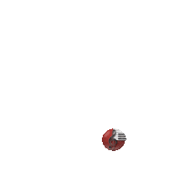 Dia Semana Sticker by Casa das Organistas