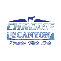 Ridethewave GIF by MM Auction Services, LLC