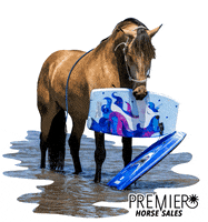 Ridethewave GIF by MM Auction Services, LLC