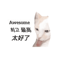 Cat Sticker