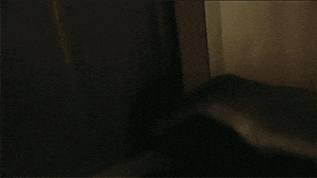 honey badger video GIF