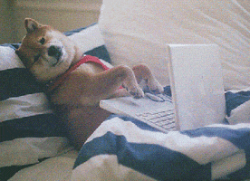 food 52 blogs GIF