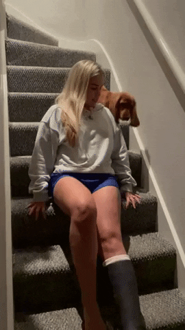 cuteanimalland giphyupload GIF