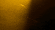 GIF by Because Science