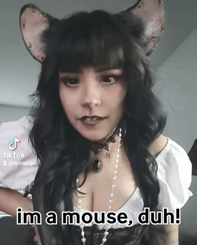 Mean Girls Mouse GIF