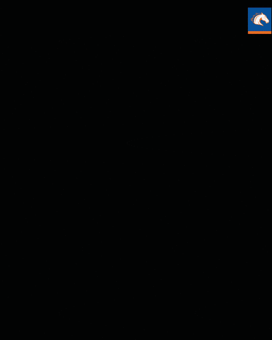 mashfiqdewan giphyupload celebration mavericks uta GIF