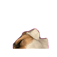 Tired Dog Sticker by arielle-m