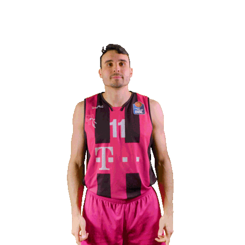 swipe up game on Sticker by easyCredit Basketball Bundesliga