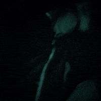 Party Japan GIF by Rojuu