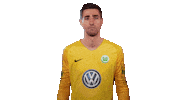World Cup Football Sticker by VfL Wolfsburg
