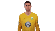 World Cup Football Sticker by VfL Wolfsburg