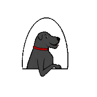 TjMorales09 dog dogs wink bruce Sticker
