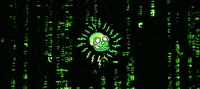 Code Coding GIF by Greenplace TV