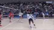ncaasports ncaa volleyball ncaavb pennstate GIF