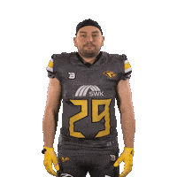 Football Sport Sticker by Krefeld Ravens