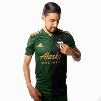 Portland Timbers Sport GIF by Timbers