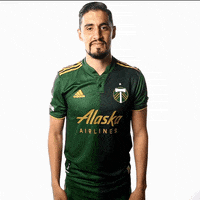 Major League Soccer Hello GIF by Timbers